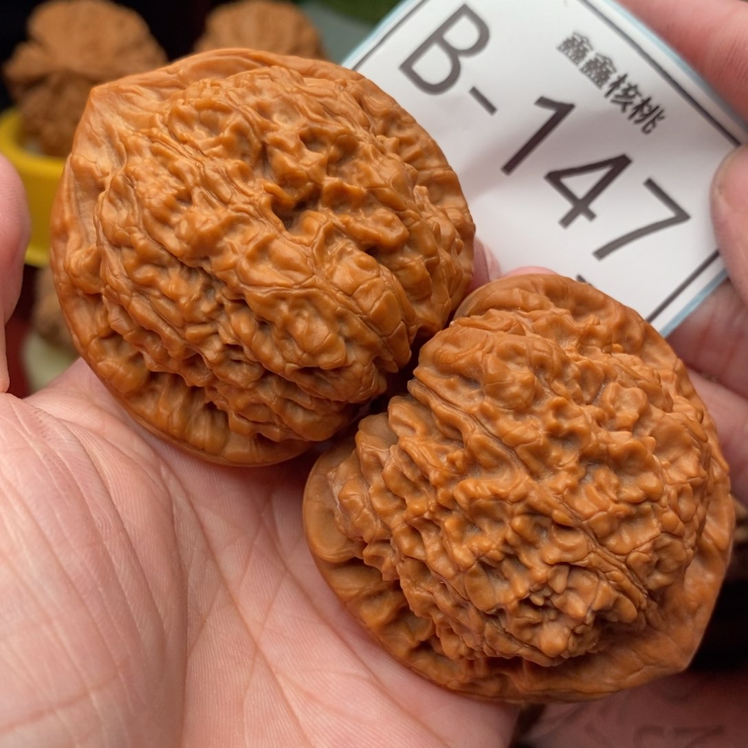 文玩核桃把件官帽50