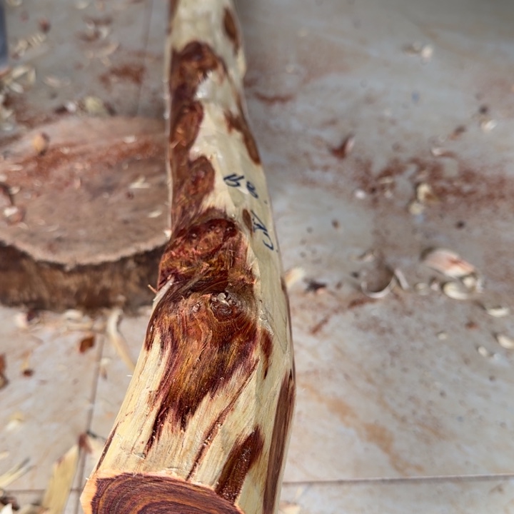 柒***点木海南，海北飞灰尘。甘受商于仪诳楚