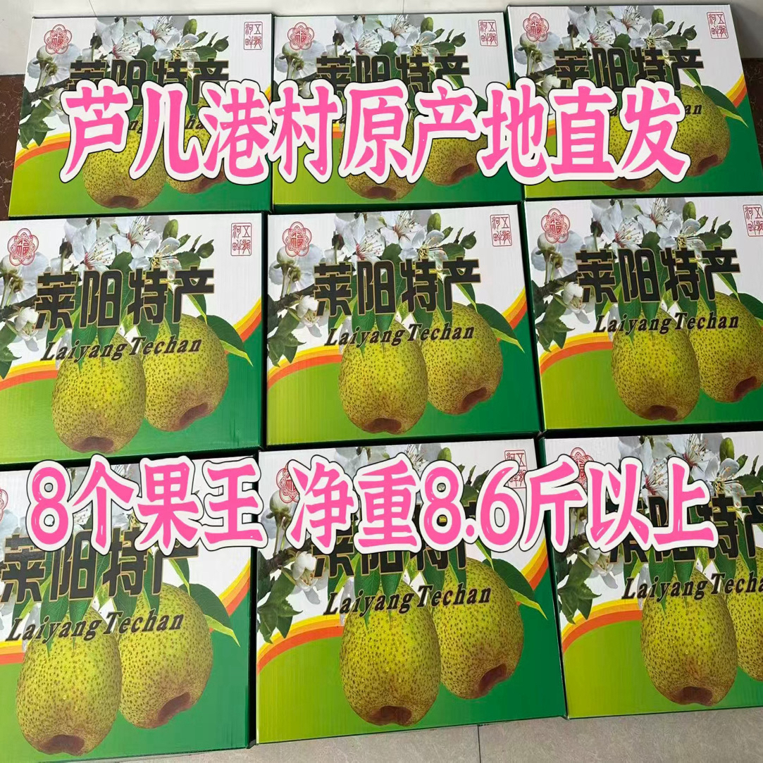 莱阳慈梨芦儿港村 350年古梨王树 净重8.6斤 礼品盒装 八个大果王