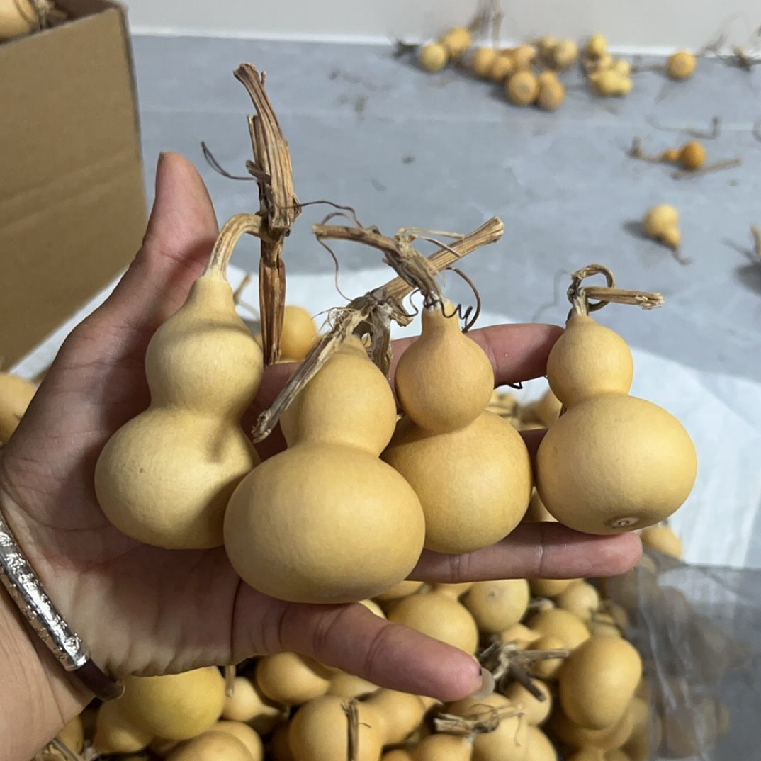 小胖墩200个610米包邮