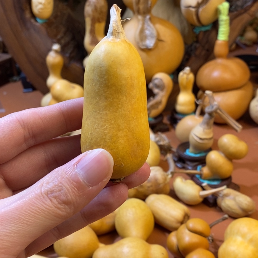 七***福教练教练教练教练经理