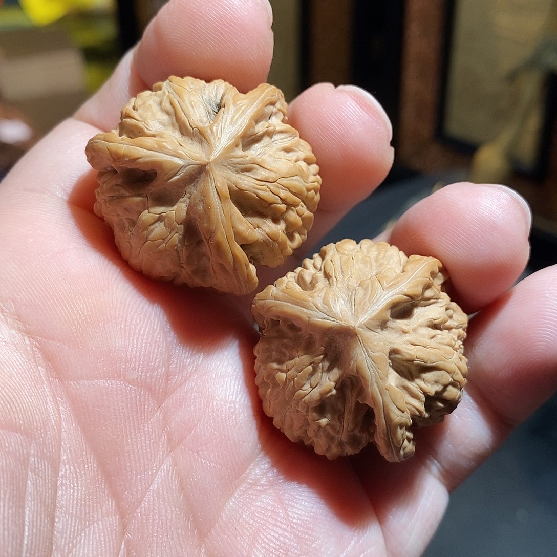 文玩核桃把件35文山三棱全品