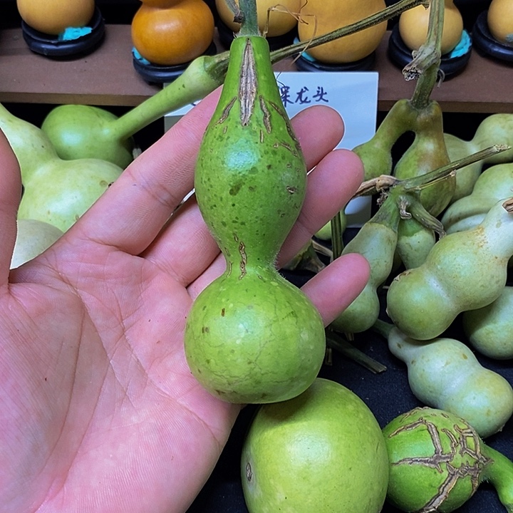 用****0天裂葫芦哈哈哈哈哈哈哈哈哈哈好
