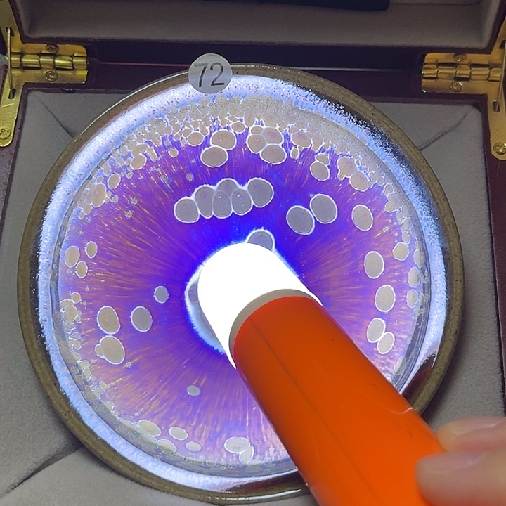 茶盏乐乐乐乐乐乐乐乐乐乐乐