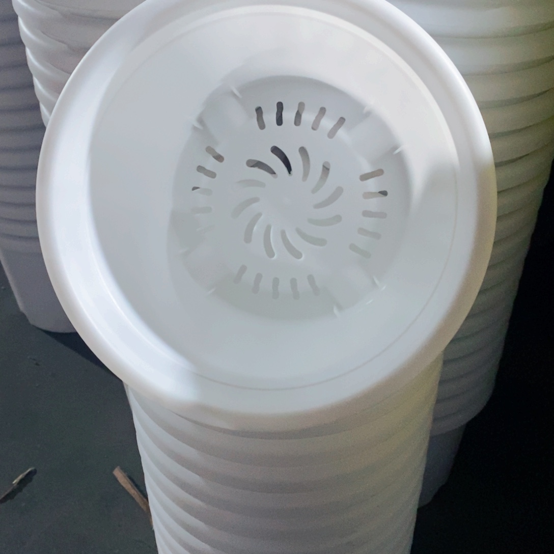 四季3号10个带拖纯白