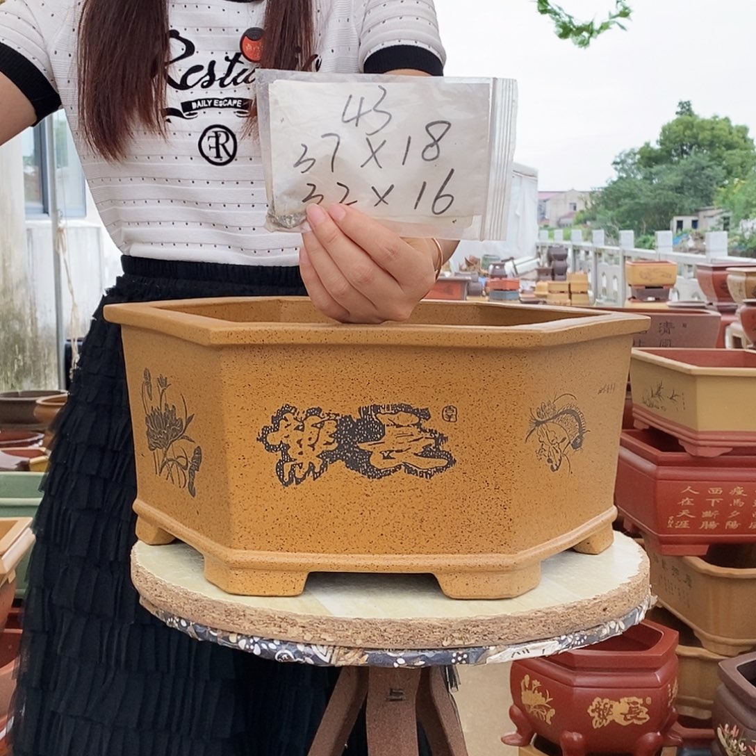 紫砂花盆紫砂花盆