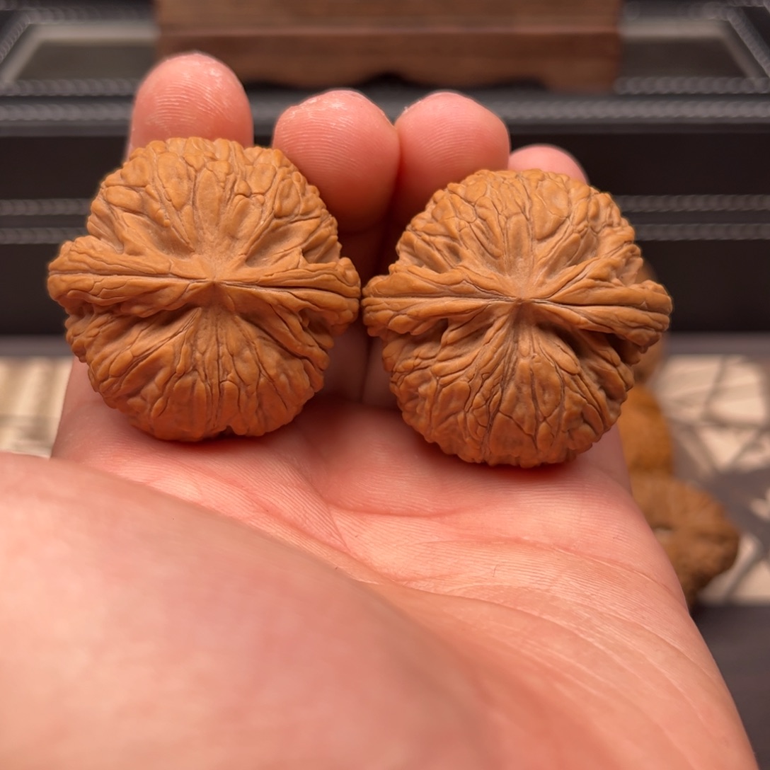 文玩核桃吊坠李*40蛟龙