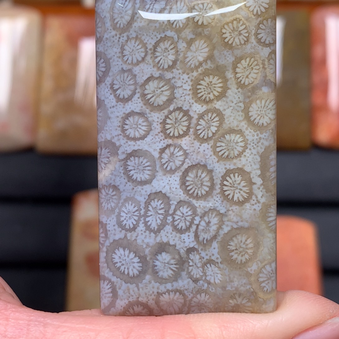 伊***凡硅化玉未镶嵌吊坠无事牌手排平安扣