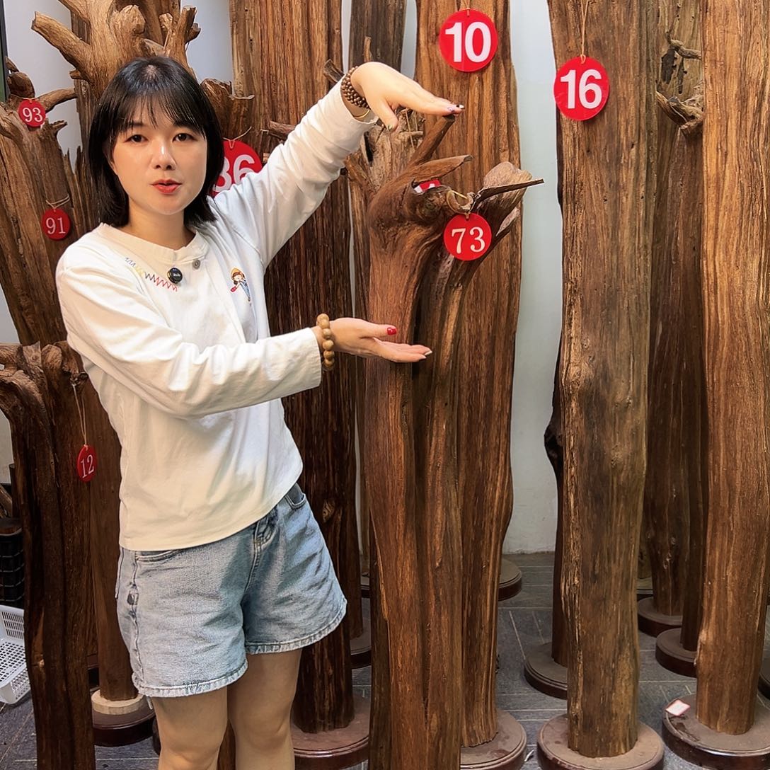 沉香碎屑沉香天然沉香原材料高品质