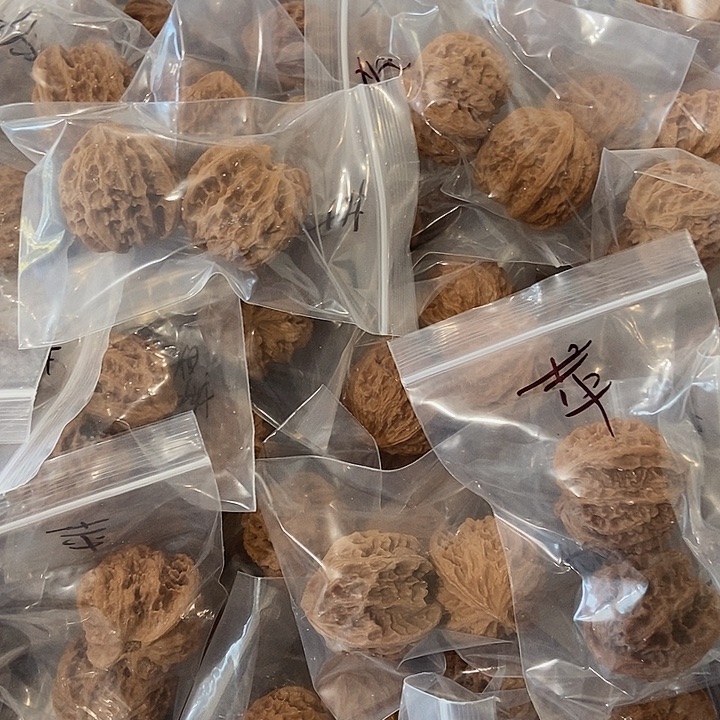 吊坠文玩核桃苹果园瑕疵