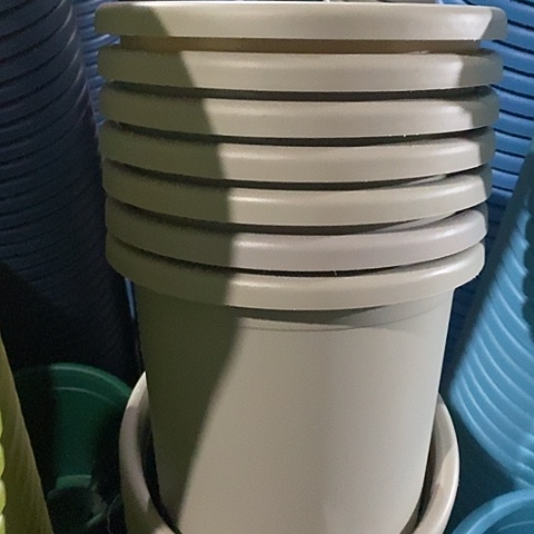 树脂微瑕4号8个无托灰白