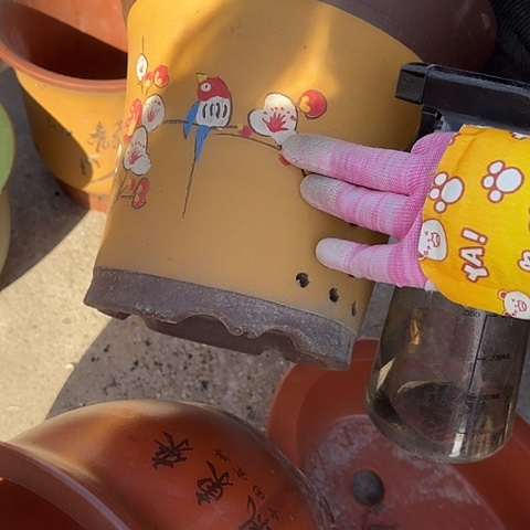 紫砂花盆花盆花盆花盆花盆