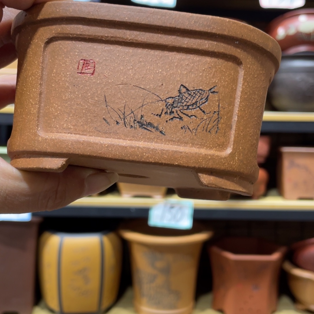 修****紫砂花盆紫砂花盆