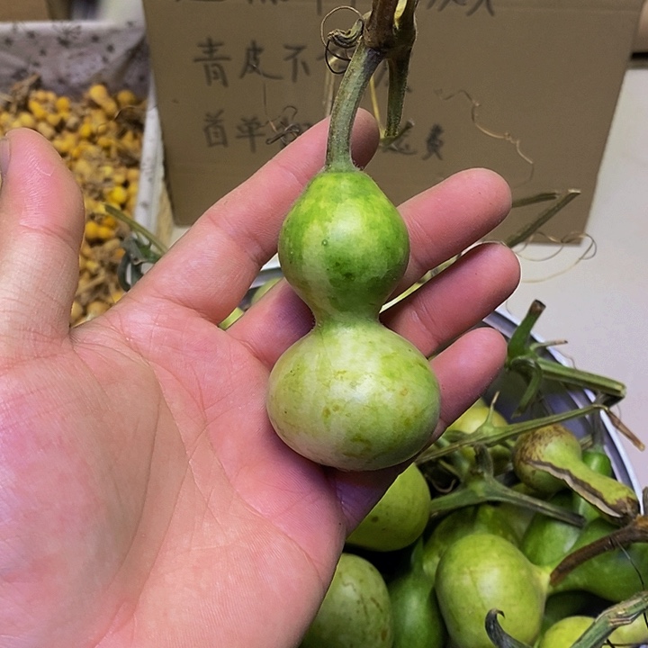 宋***6长嘴哈哈哈哈哈哈哈哈哈哈哈哈好