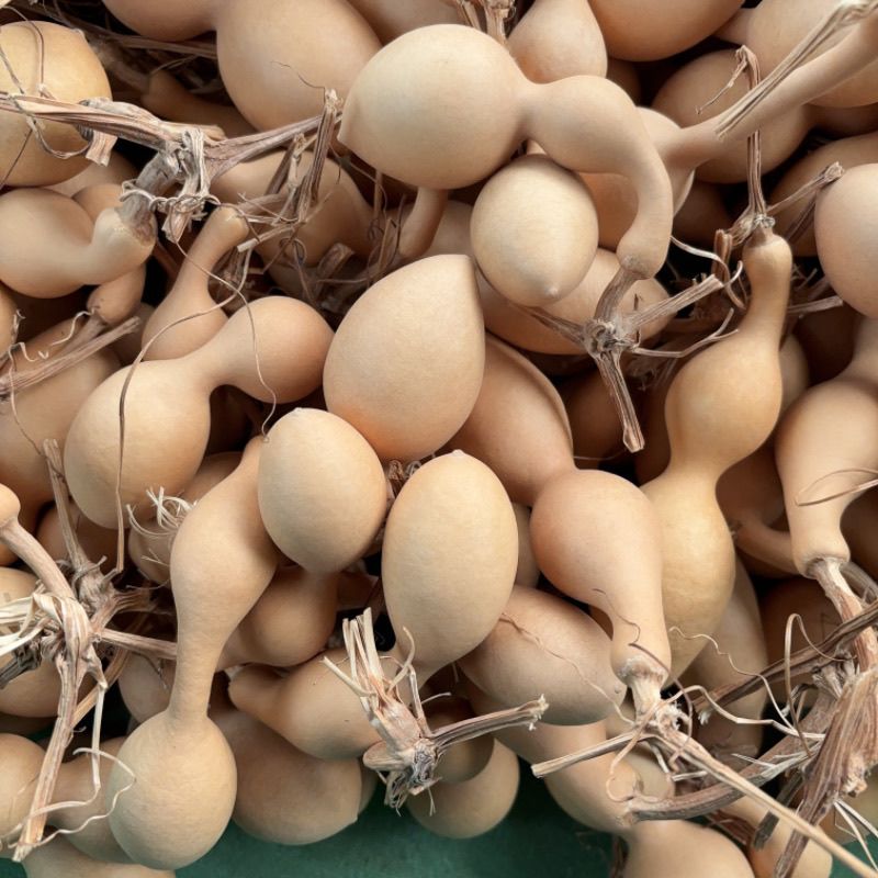 天然小葫芦手把件可盘玩带龙头的文玩葫芦