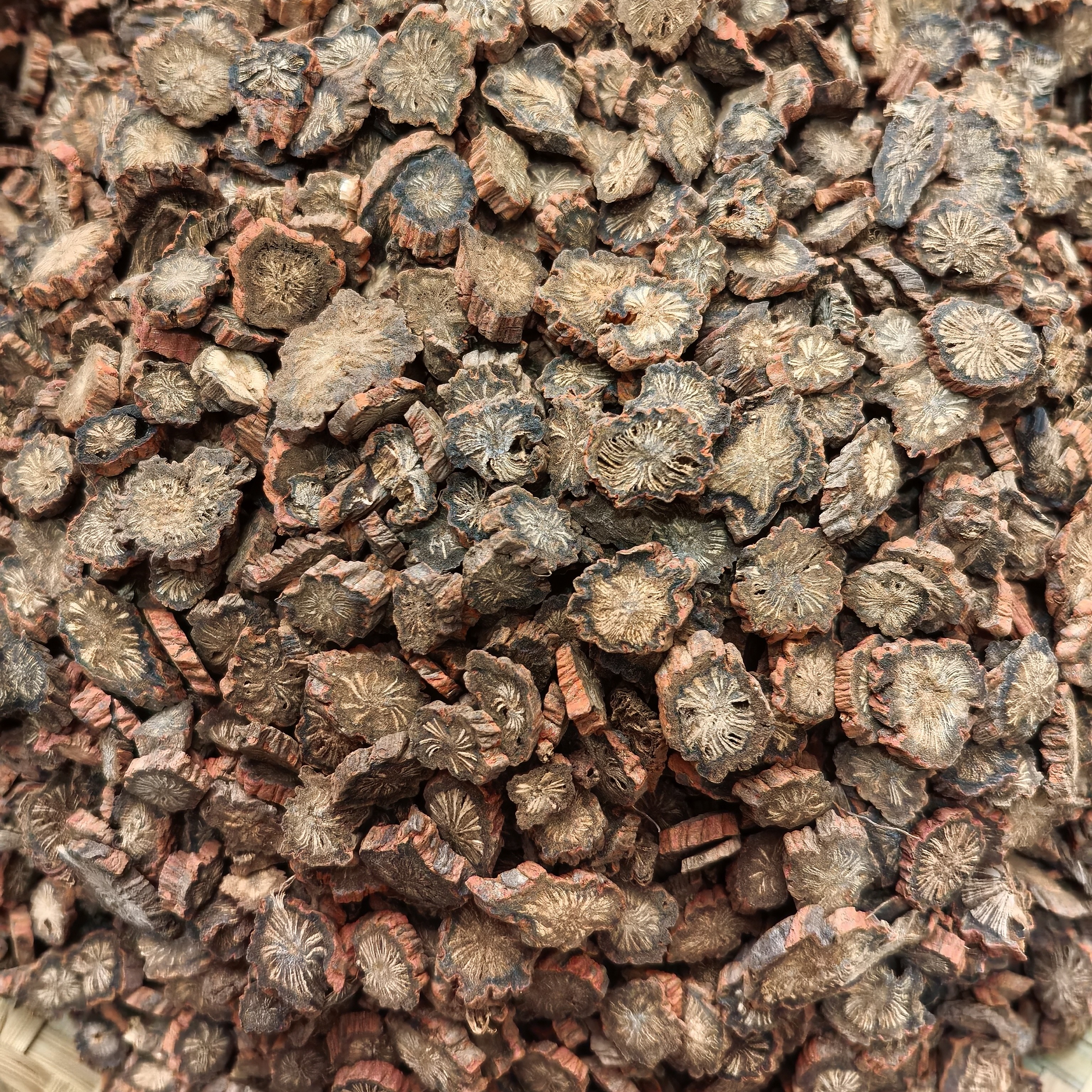 人工种植紫丹参片发汗菊花芯自然晾晒可磨粉可发原材料