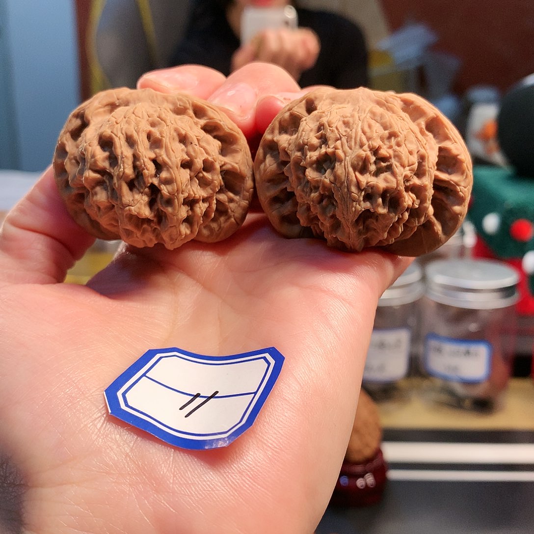 【闪购商品】吊坠文玩核桃粗筋王 45尺