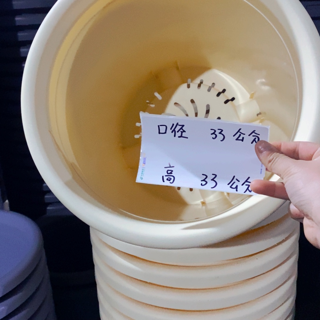 四季7号3个无拖米黄