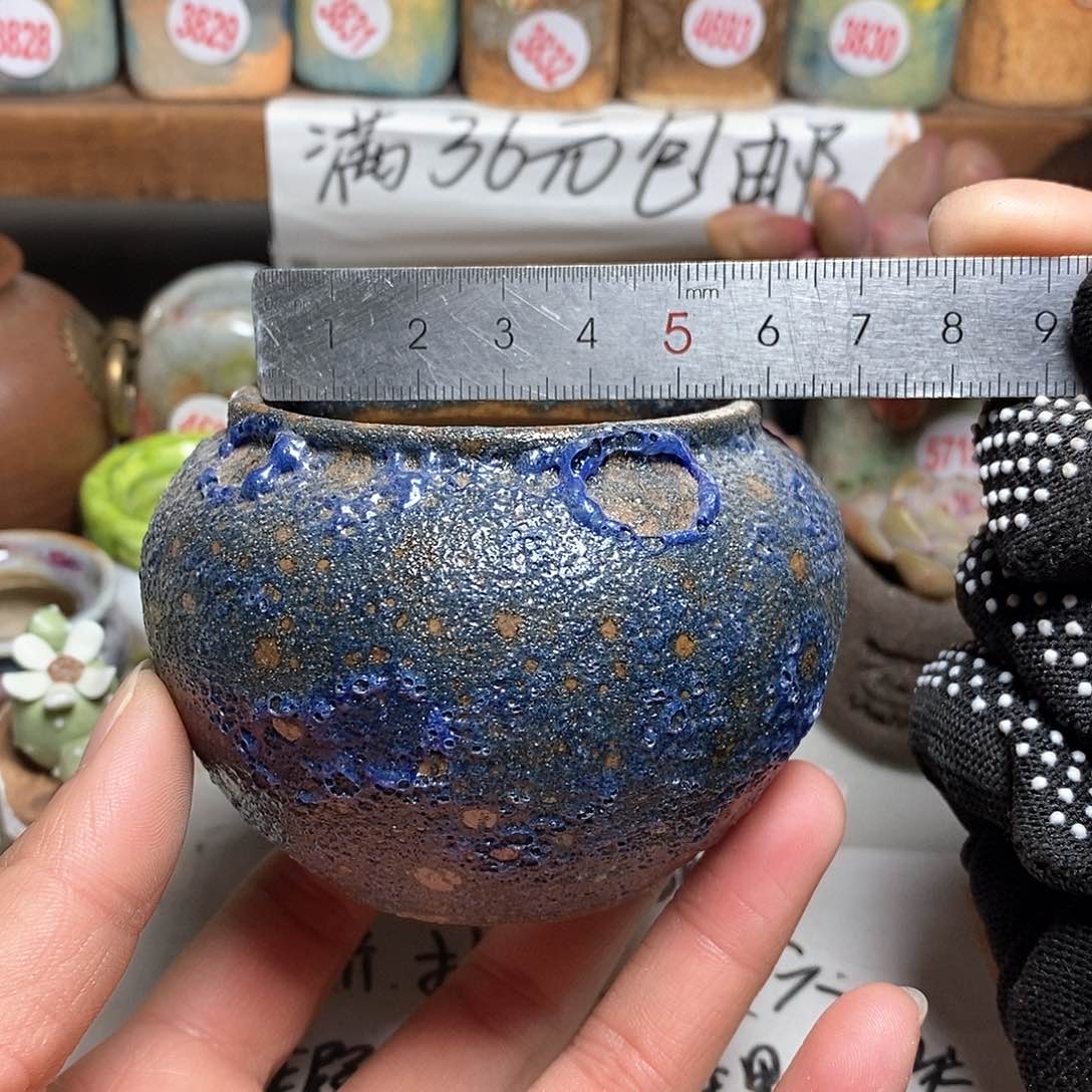 红陶拍5送一个小