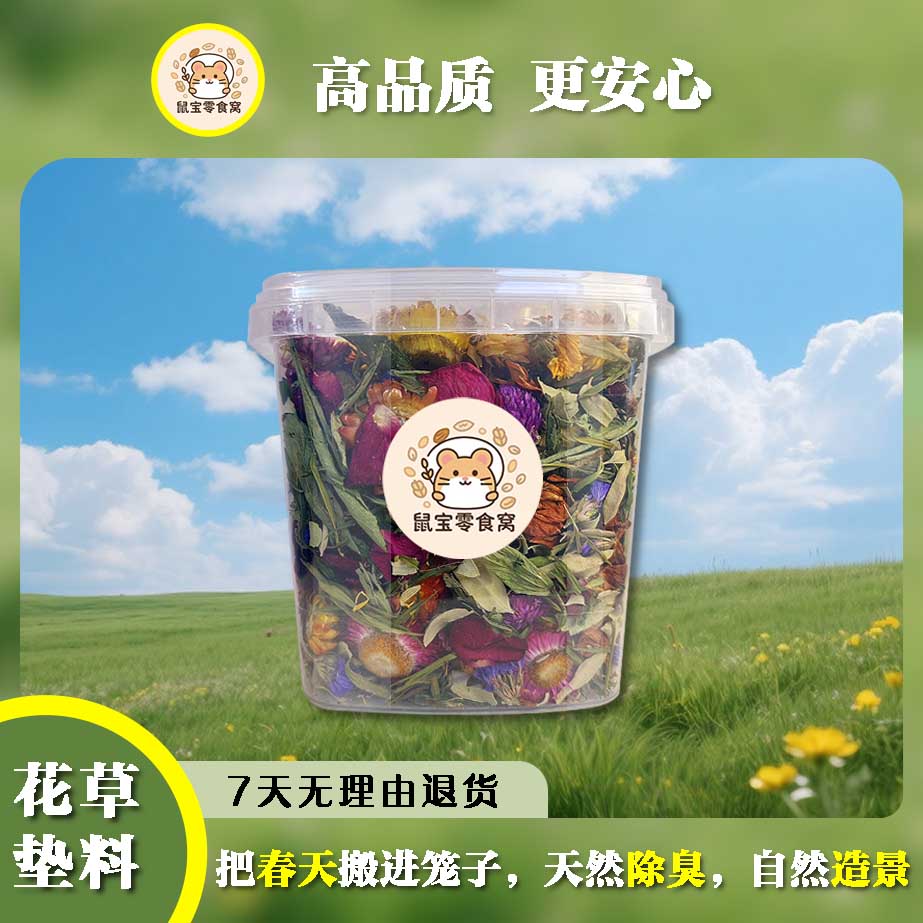 金丝熊花草垫料多种花草搭配可造景祛味
