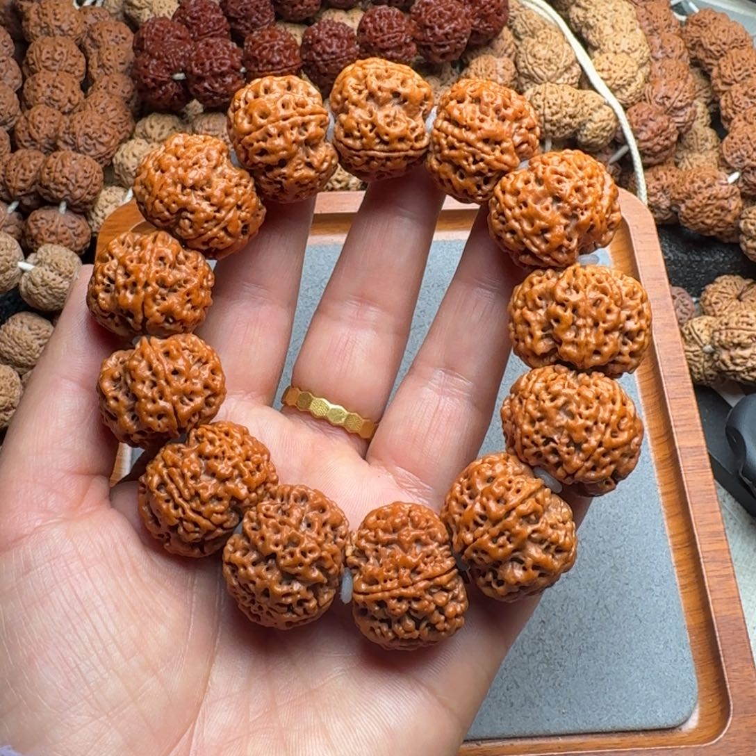 菩提菩提13号尼泊尔大金刚26豆腐块梅花