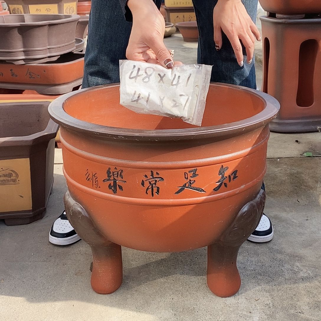 紫砂花盆紫砂花盆