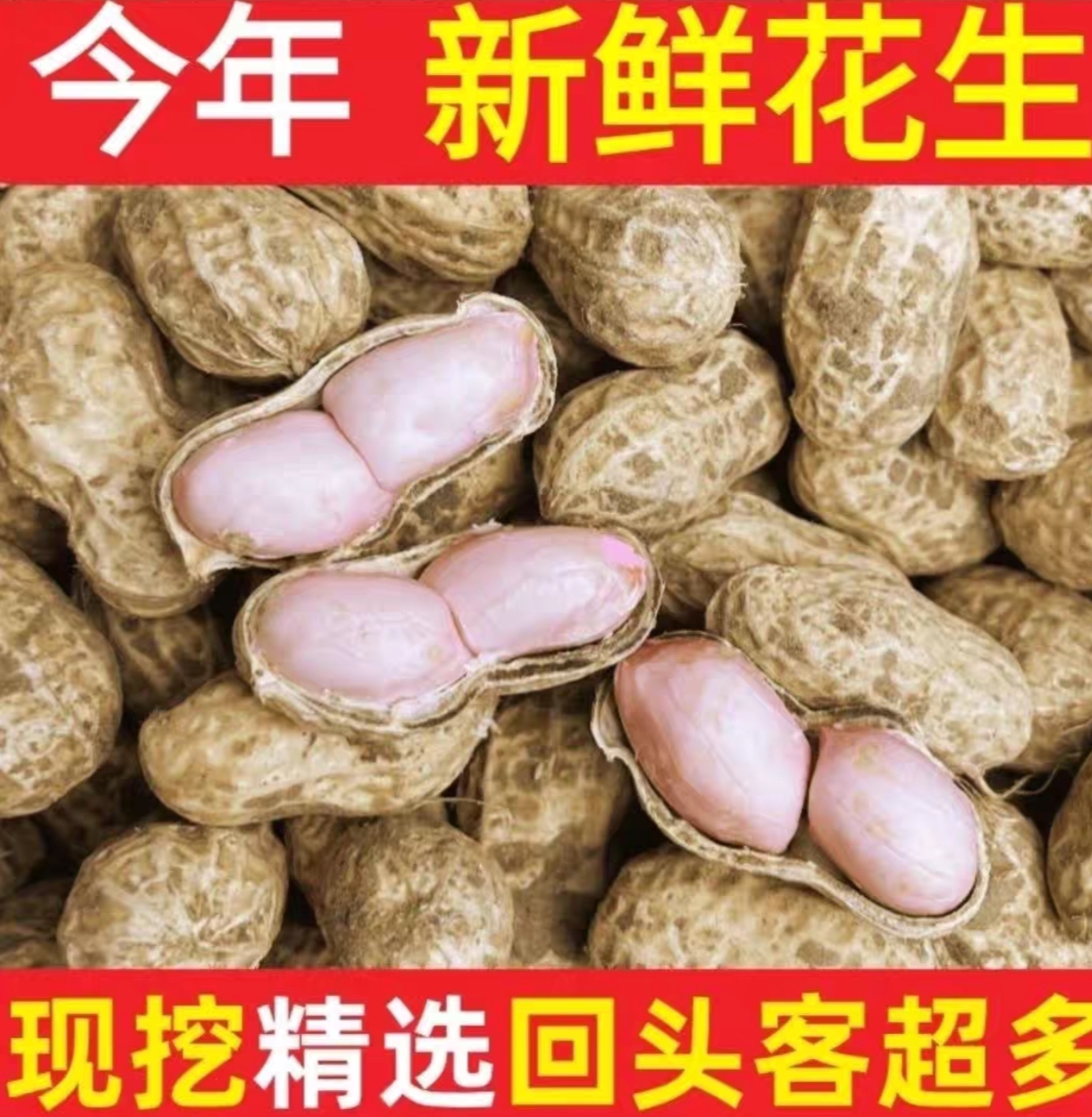 2025年新鲜花生农家现挖粉红皮花生水煮花生带壳新鲜湿花生生花生