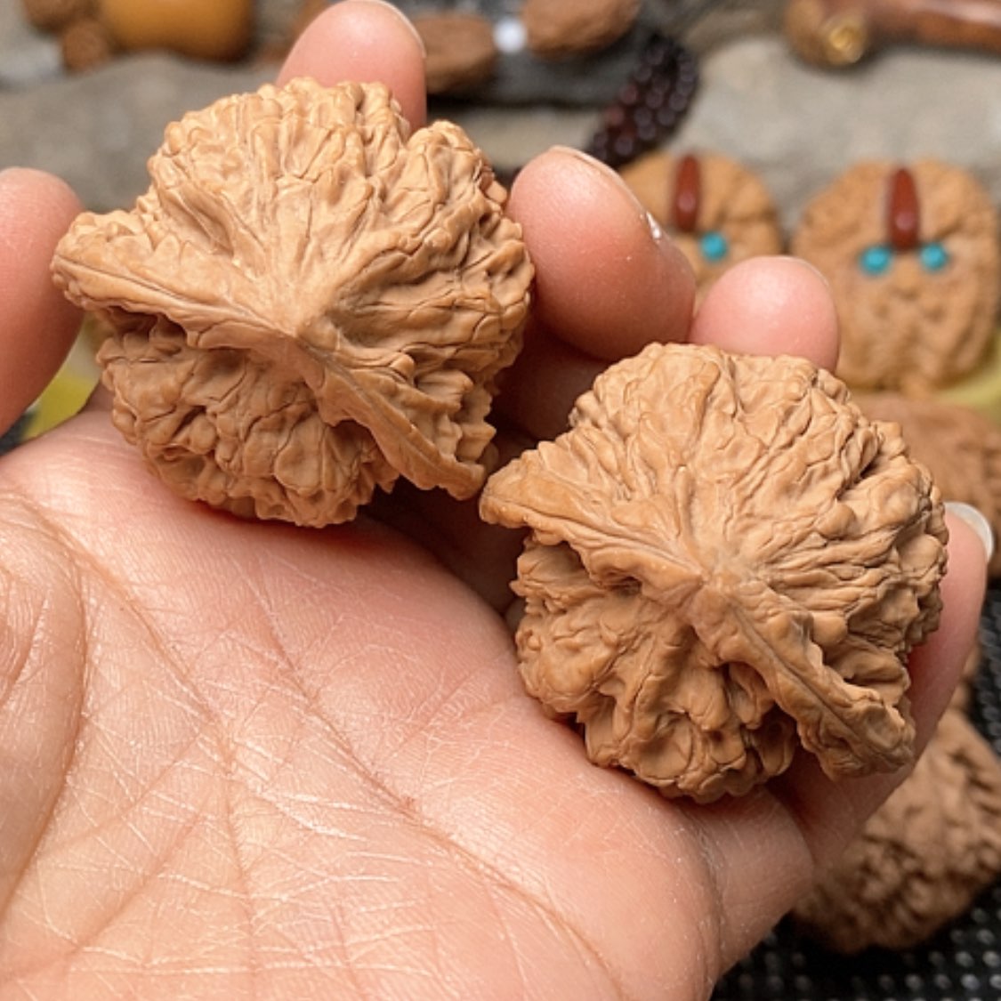 【闪购商品】文玩核桃把件43官帽龟背异型