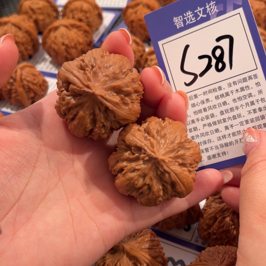 核桃S287号霸王龙42尺