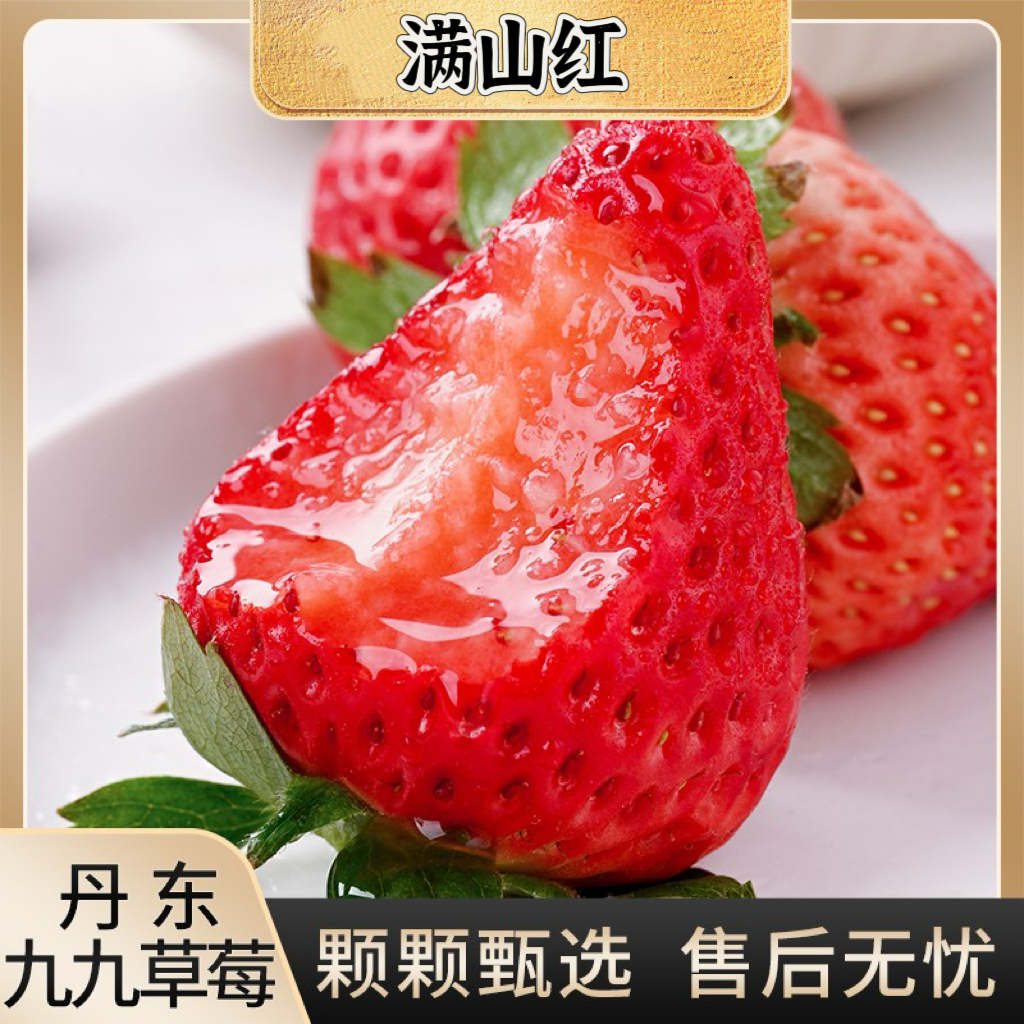 【礼盒装牛奶草莓】正宗丹东九九红颜奶油大草莓核心产区顺丰空运