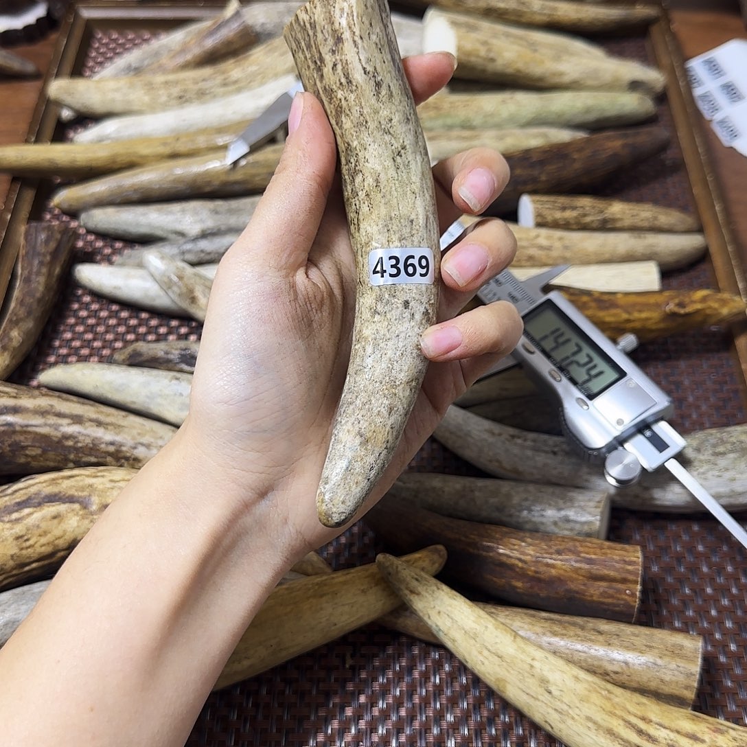 鹿骨手串/手链4369角尖