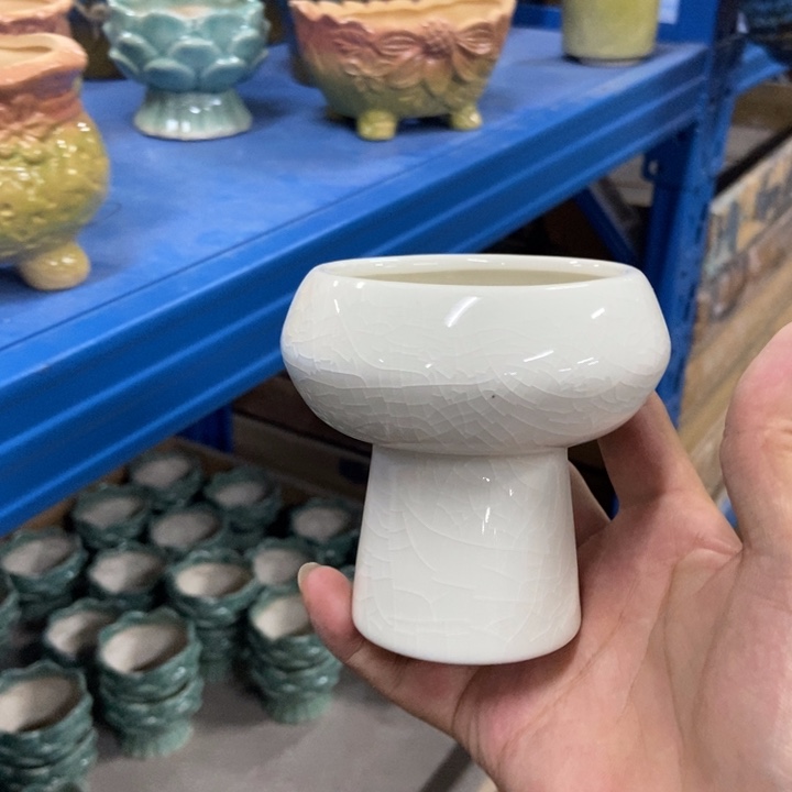 花盆单场满9.9发货7.5*9