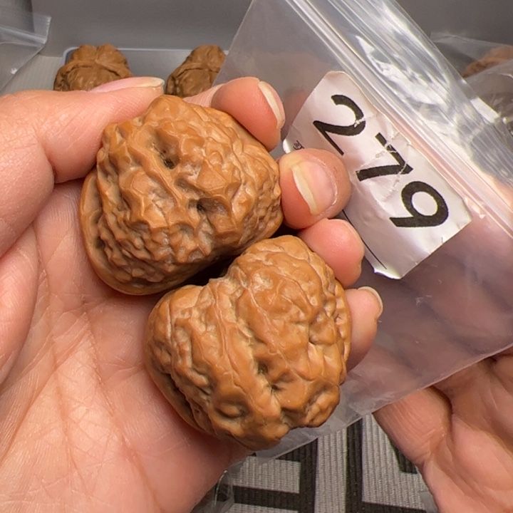 核桃39边42肚279号蛙