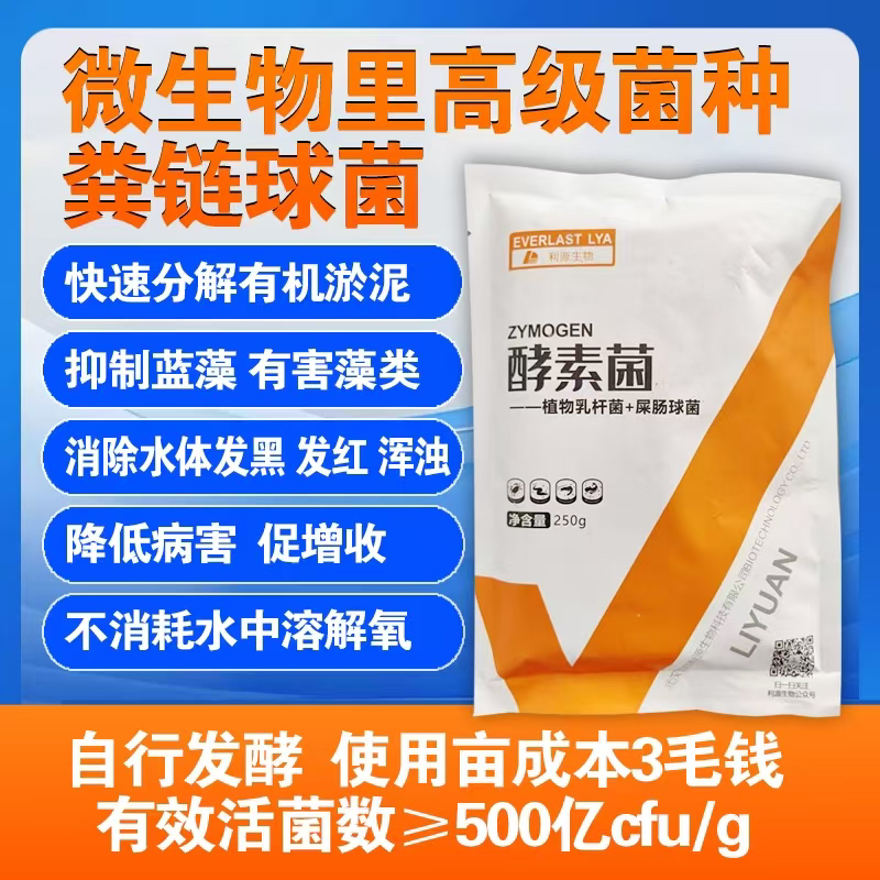 粪链球菌水产应用不耗氧减少氨氮亚硝酸盐抑制有害藻类优良水环境