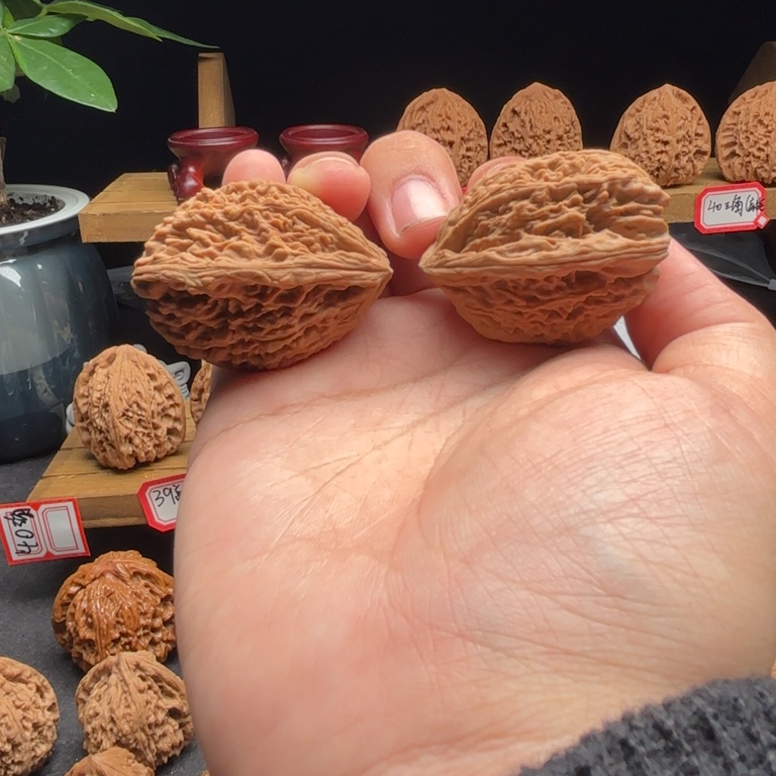 核桃南疆异性潜艇