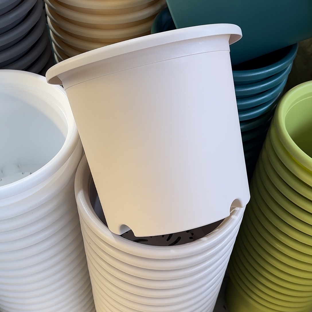 微瑕6号3个无托，灰白