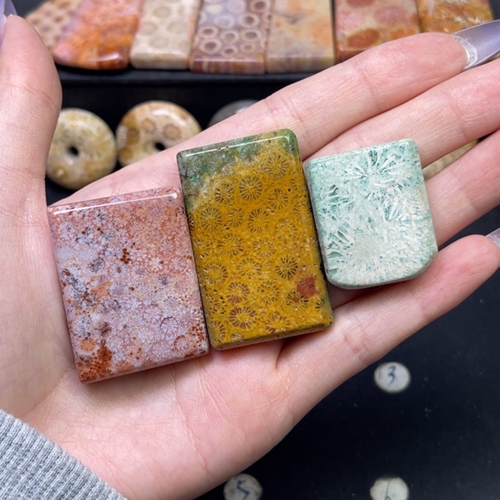 未镶嵌吊坠硅化珊瑚（珊瑚玉）