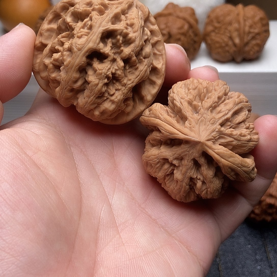 47尺全品无修大粗筋