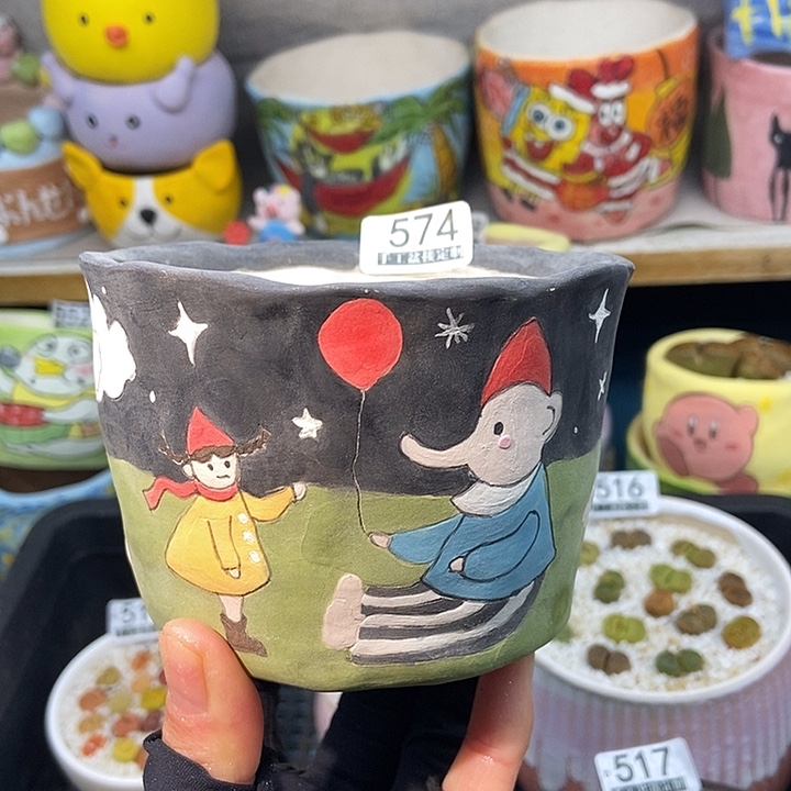 大舅生石花肉锥多肉574