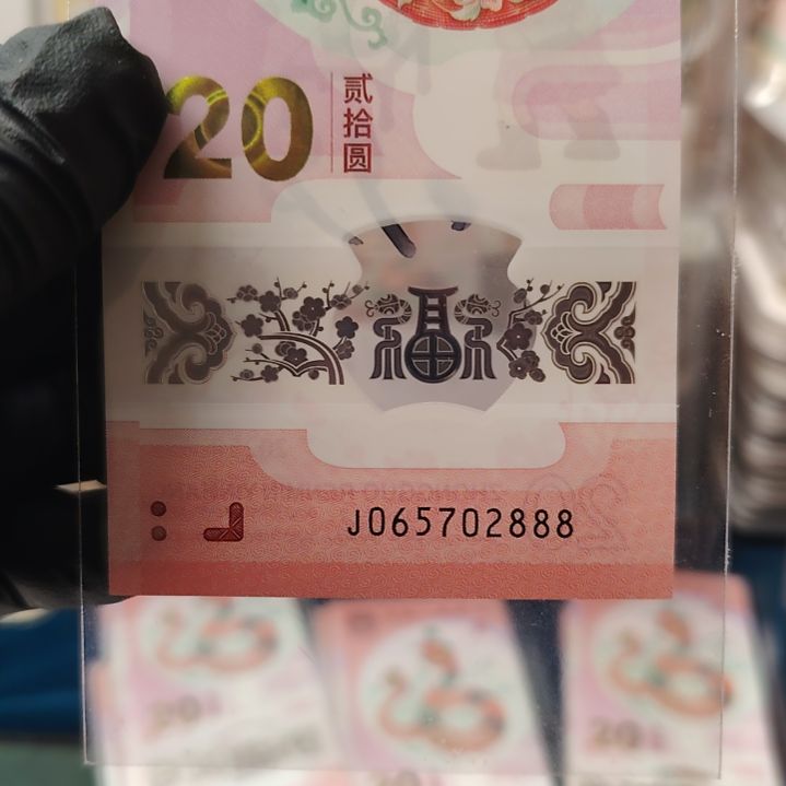 塑料蛇钞单张2025  065702888