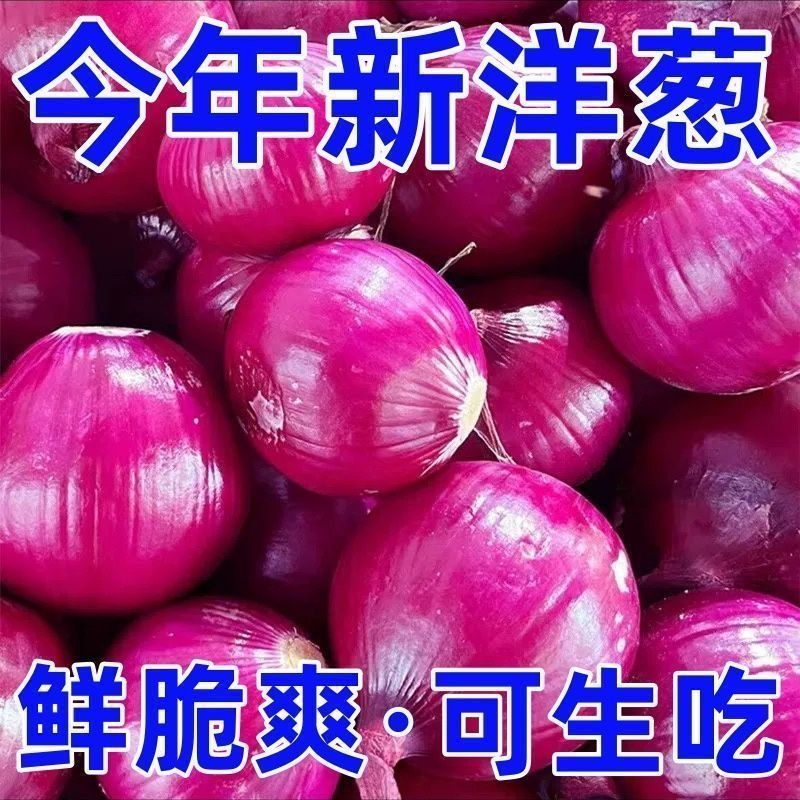 【5斤】山东济宁红皮紫红洋葱现挖新鲜水果蔬菜批发整箱