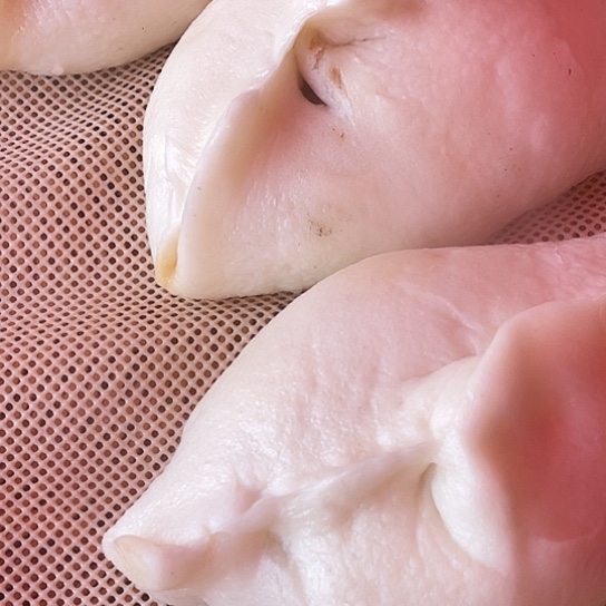 中国大陆牛肉包子11个