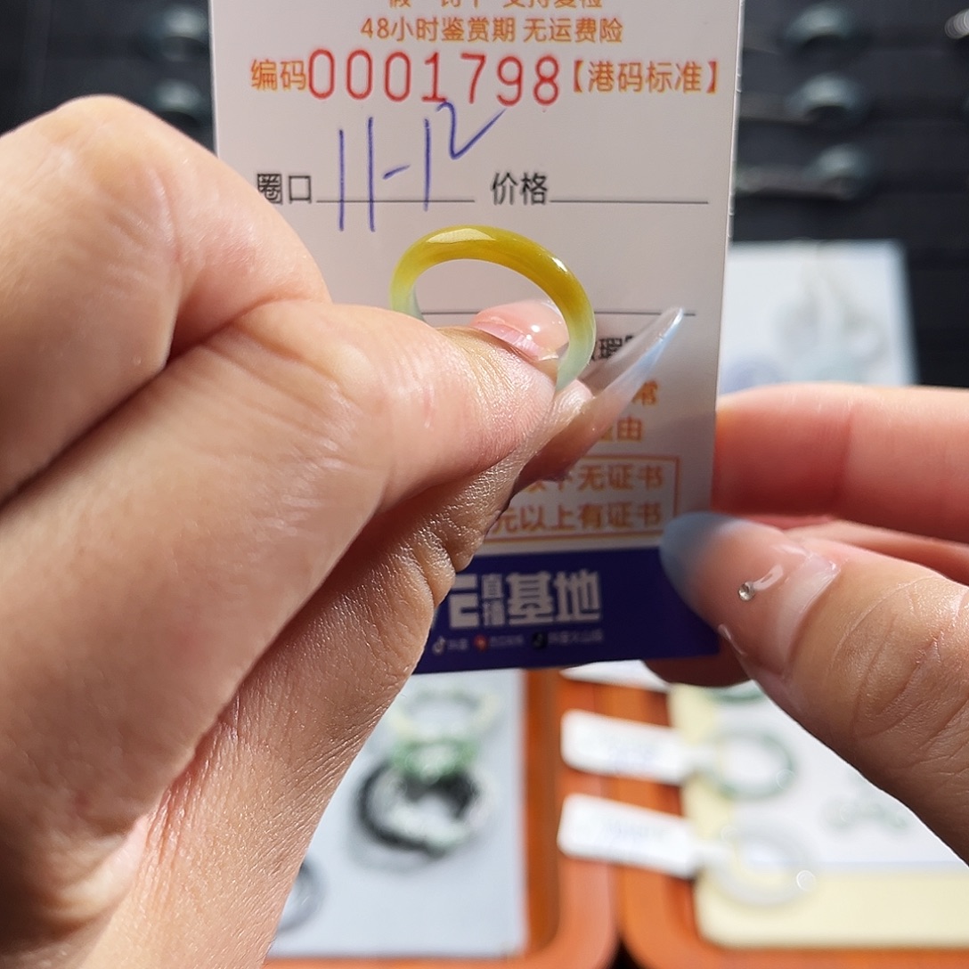 翡翠未镶嵌戒指1798