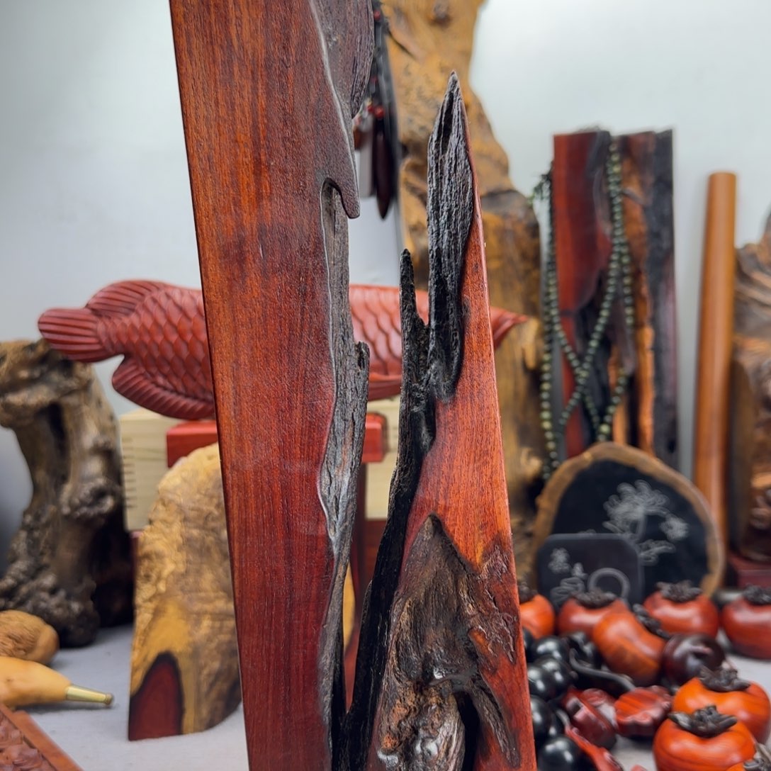 大果紫檀（缅甸花梨）时****花