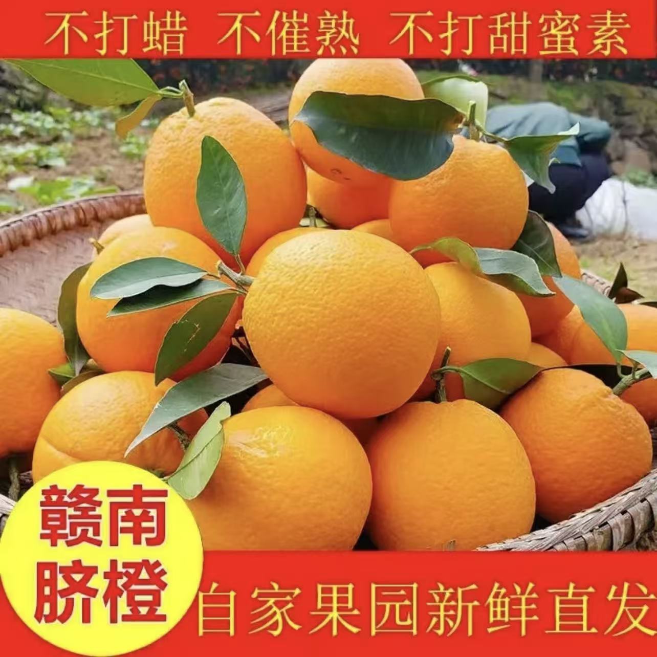 【产地直发】正宗赣南脐橙应季新鲜水果现摘现发孕妇小孩水果