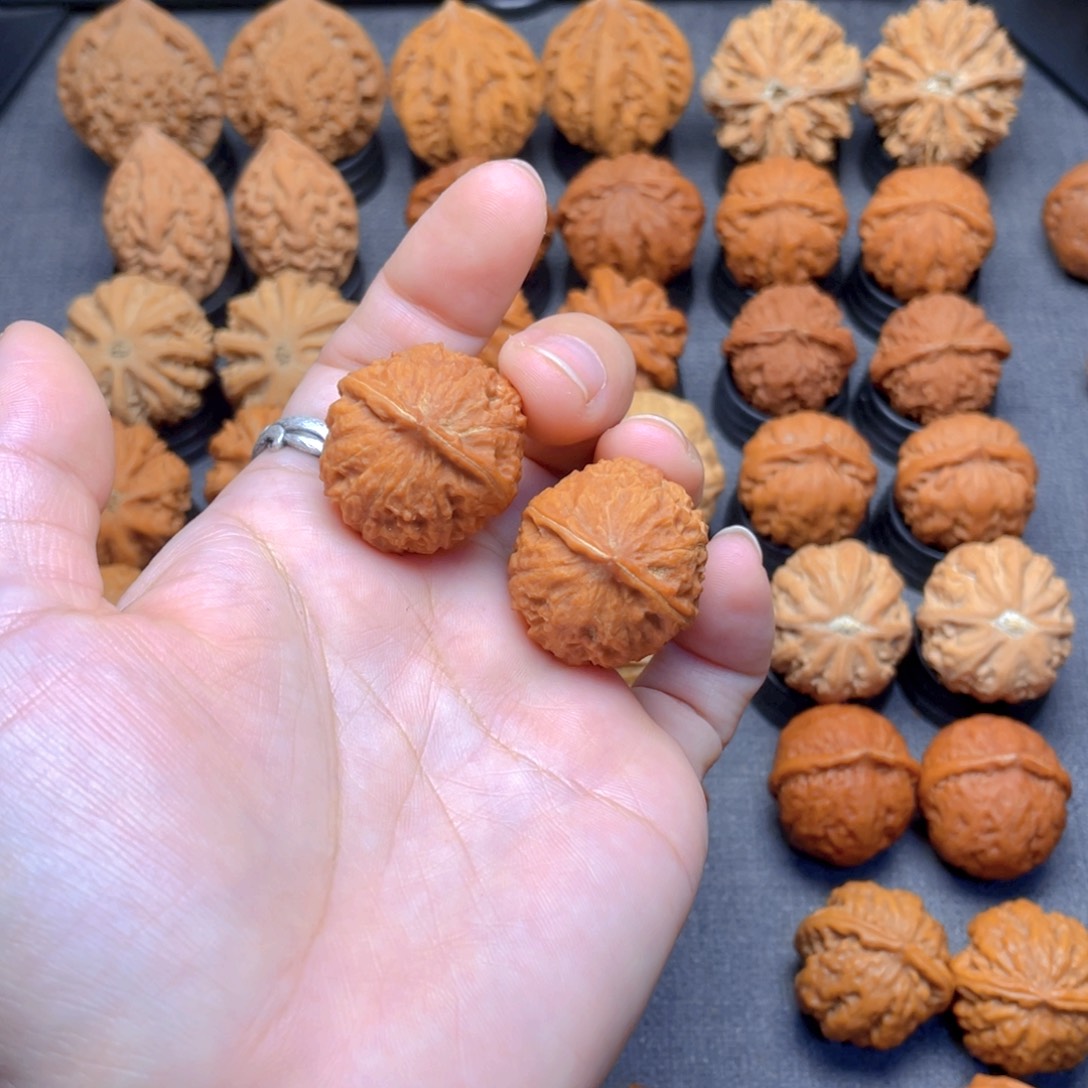 盖***肉核桃文玩把件小麻球