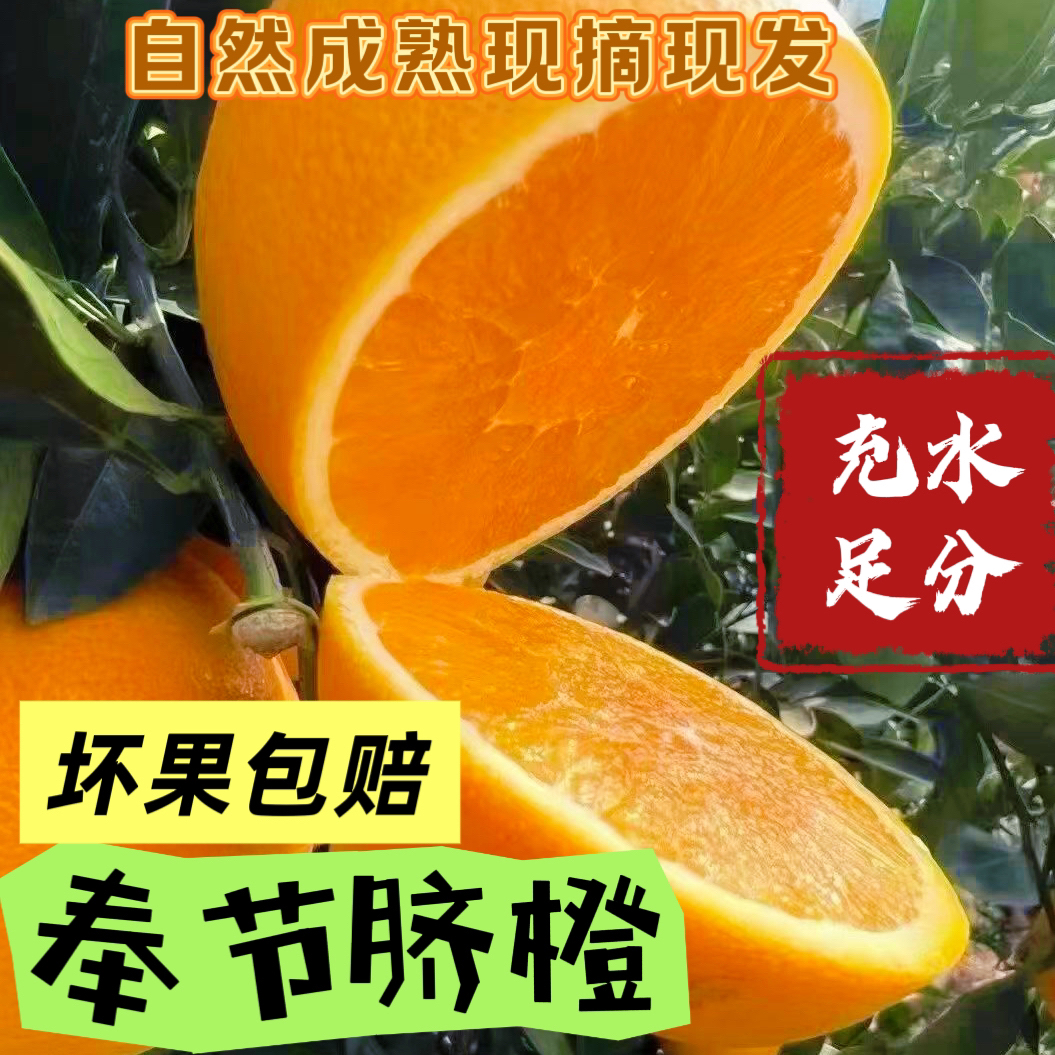 奉节脐橙精品好果酸甜可口水分充足现摘现发带枝叶发货
