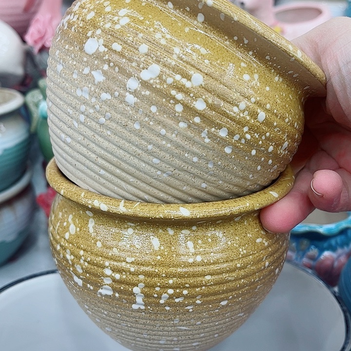 多肉植物陶瓷花盆