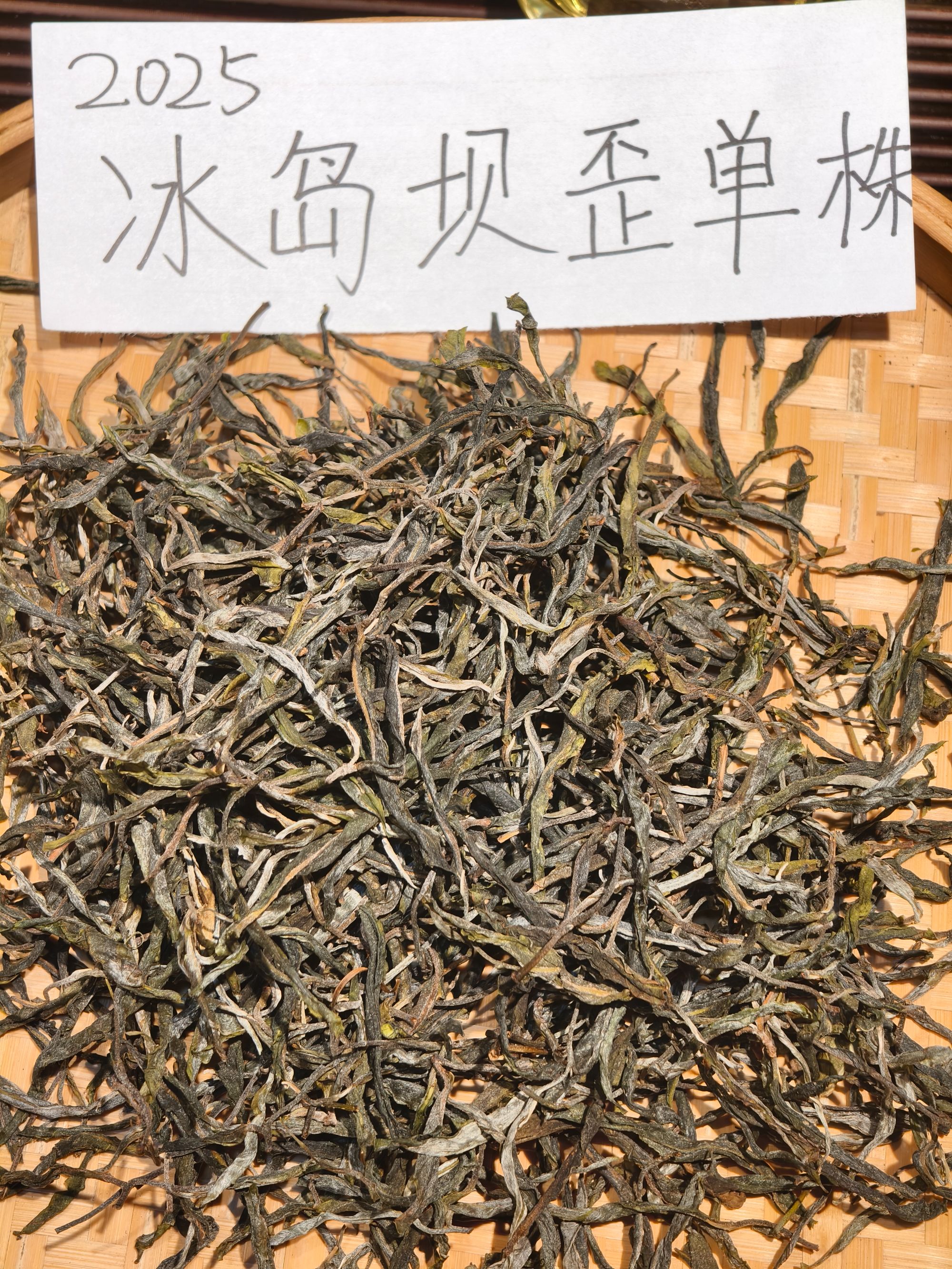 【新品上新】2025年冰岛坝歪单株第4棵·100g/罐 带同款