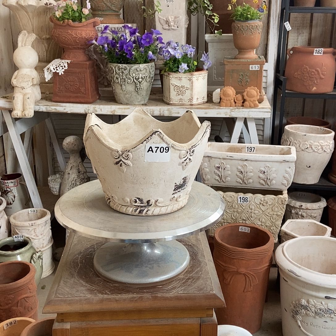 709口22内19高15.5